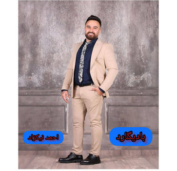 احمد نیکزاد بادیگارد